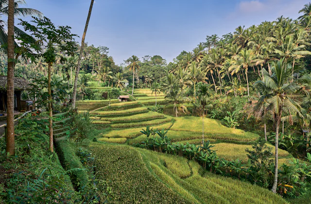 Bali