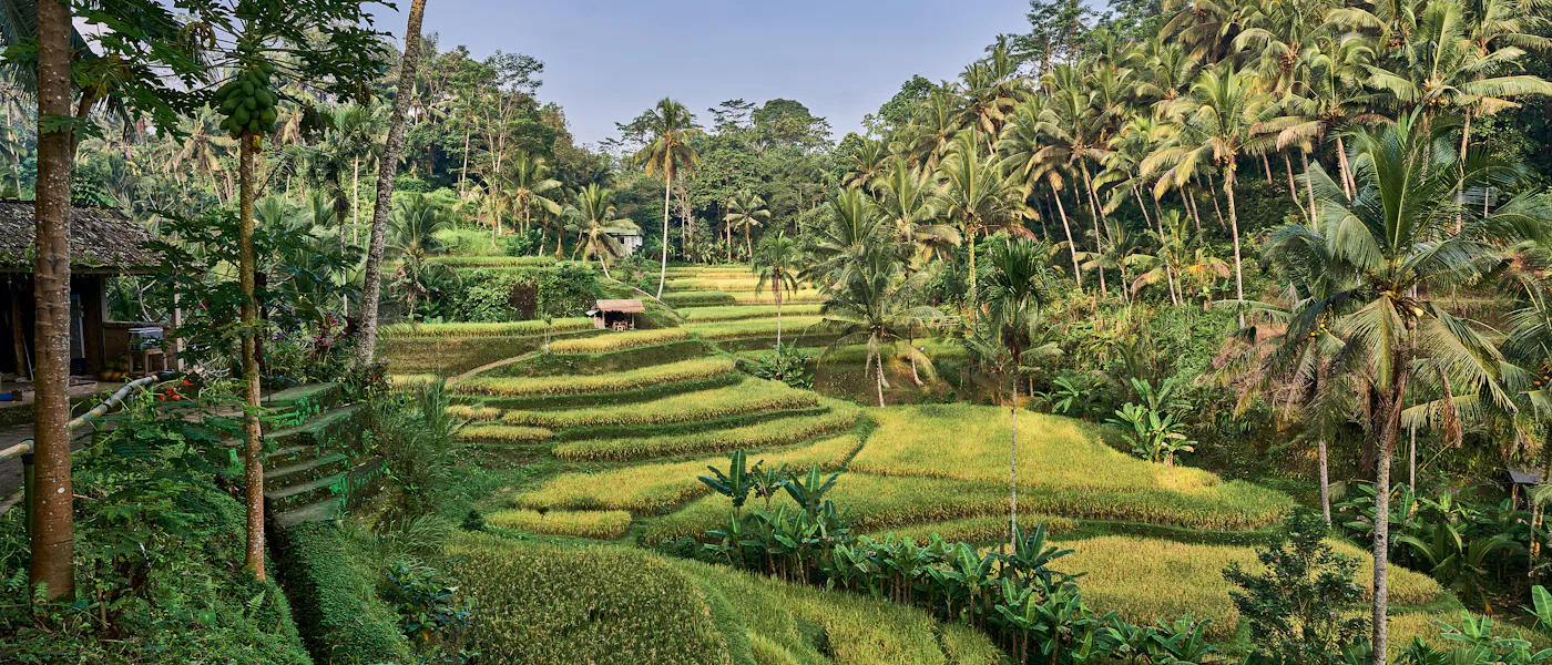 Bali — travel photo