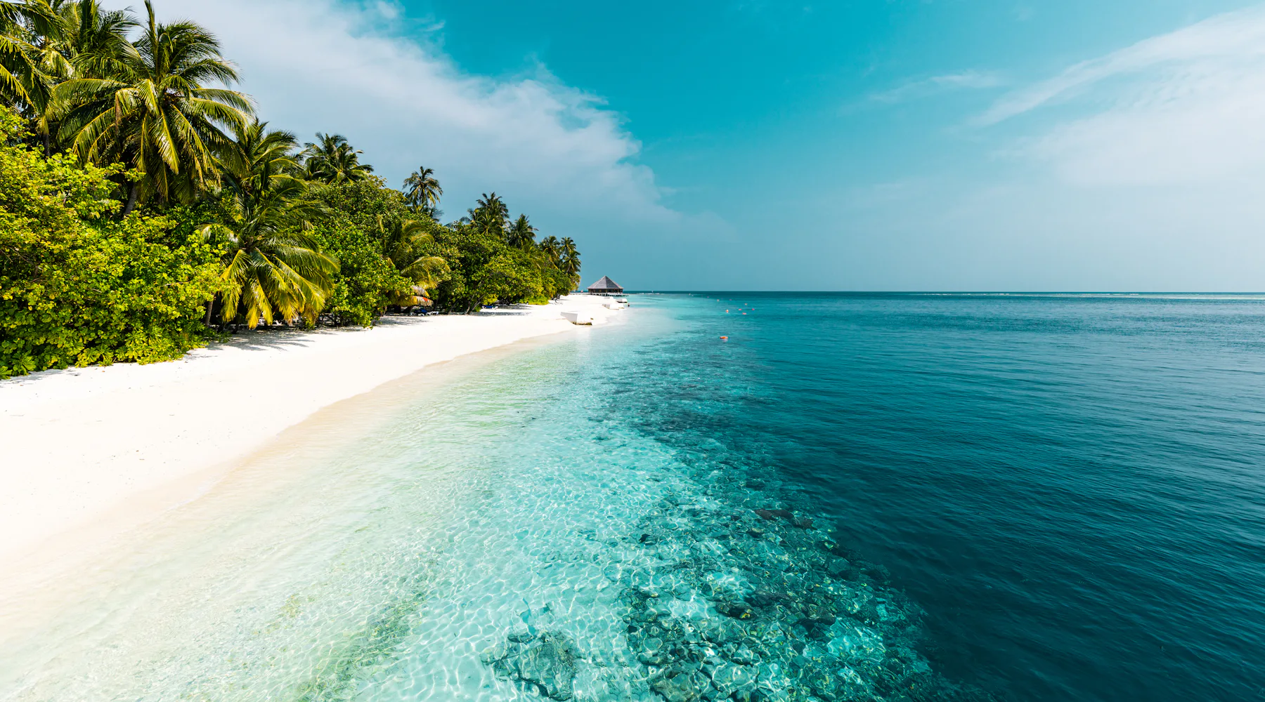 White sand beach with turquoise water and palm trees